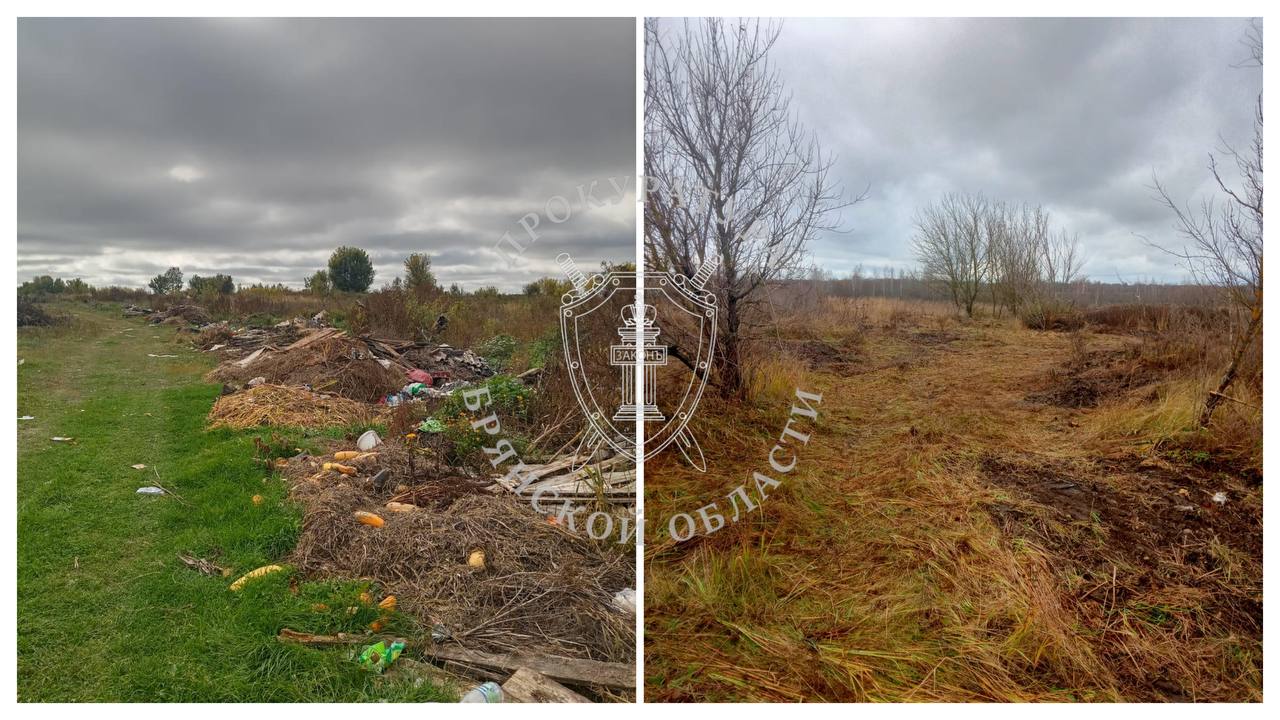 В Брянской области прокуратура добилась ликвидации свалки площадью почти 1 га