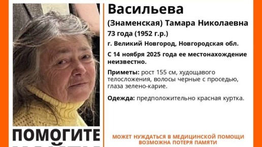 Брянцев просят помочь в поисках 73-летней Тамары Васильевой