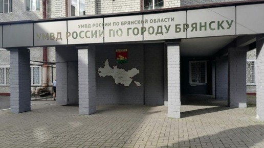 В Брянске за неделю полицейские раскрыли 39 преступлений