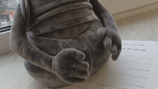 Брянский бизнесмен дождался штрафа за «Ждуна» в 307 тысяч рублей