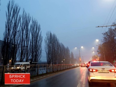 Синоптики: в Брянской области похолодает до -4 градусов