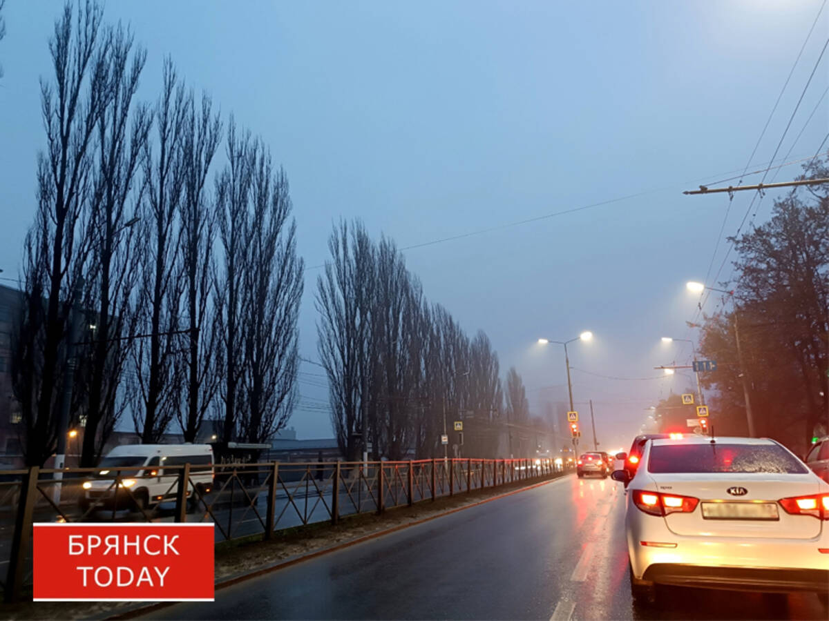 Синоптики: в Брянской области похолодает до -4 градусов