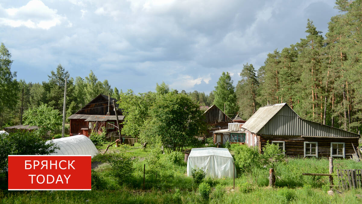 Дачникам Брянской области будут выписывать штрафы по снимкам из космоса