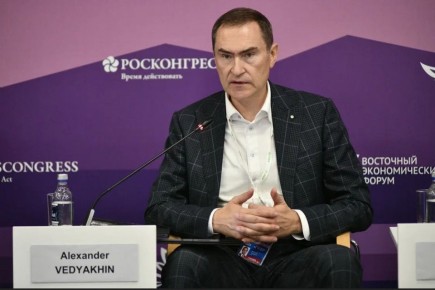 Александр Ведяхин: 70% национальных целей России связаны с повесткой устойчивого развития