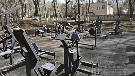 В Брасовском районе пострадавшей на спортплощадке девочке заплатят 20 тысяч рублей