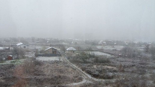 Ночью в Брянской области температура опустится до 4 градусов