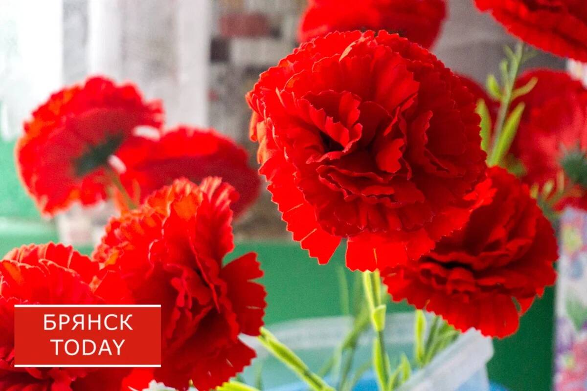 Трем погибшим брянским военнослужащим установят мемориальные доски