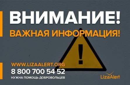 Брянские поисковики обратились к жителям с важным сообщением