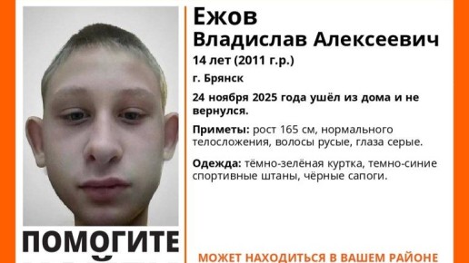 В Брянске ищут пропавшего два назад 14-летнего подростка