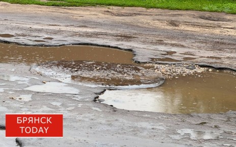 В Дятьковском районе устранили подтопление участков после прорыва водопровода