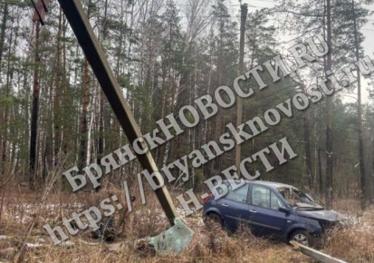 Под Брянском водитель иномарки на скорости влетел в столб