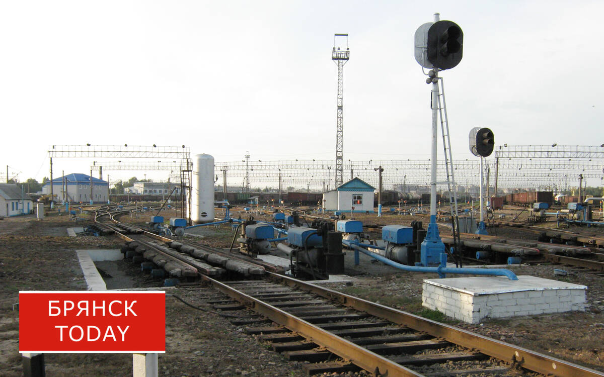 Брянцев предложили автоматически штрафовать за переход ж/д путей в неположенном месте