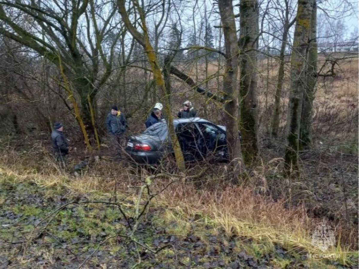 Под Дубровкой спасатели вырезали пострадавшего из покореженного авто