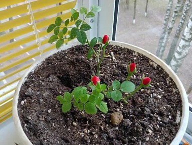 Меняем пространство с вашей помощью