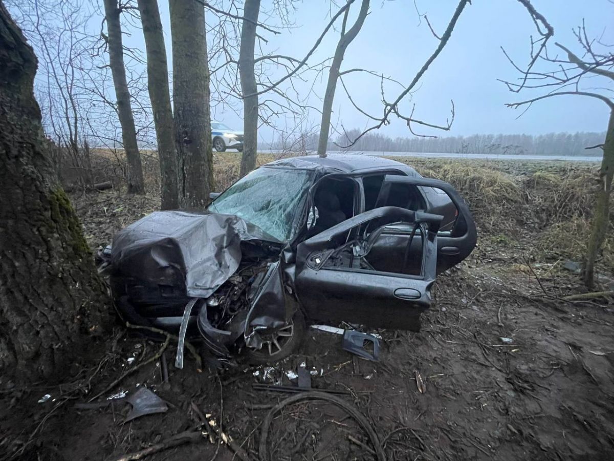 Пьяный водитель разбился об дерево под Дубровкой