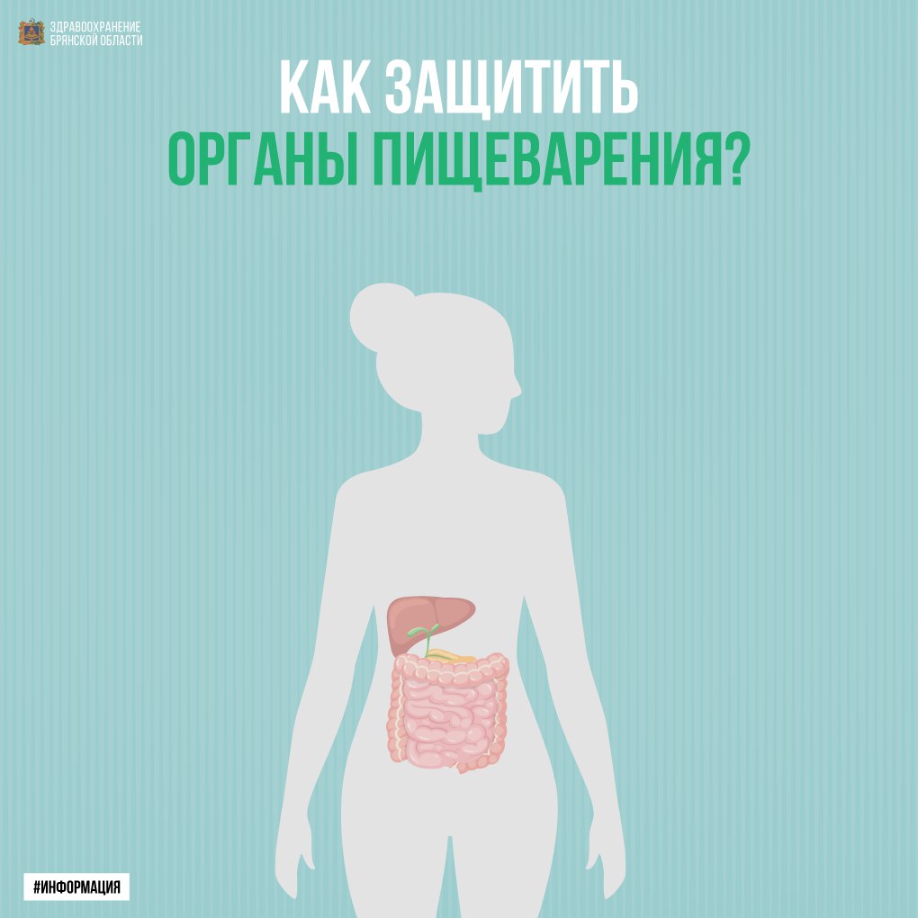 Как защитить органы пищеварения?
