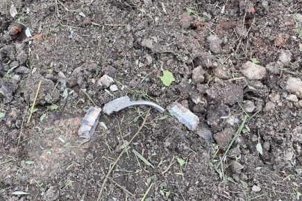 В трех городах и десяти районах Брянщины введен режим ЧС