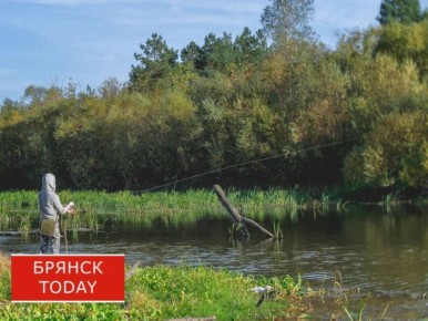 В Брянске наказали пойманного с сетью на Орлике-3 рыбака