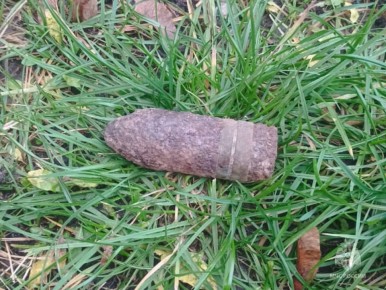 Сапёры предотвратили взрыв в Брянском районе