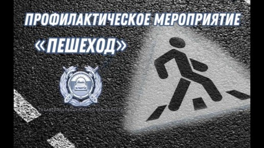 На территории Брянской области проходит оперативно-профилактическое мероприятие «Пешеход»