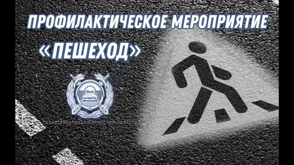 На территории Брянской области проходит оперативно-профилактическое мероприятие «Пешеход»