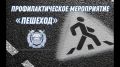 На территории Брянской области проходит оперативно-профилактическое мероприятие «Пешеход»