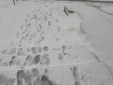 Рекордное количество погодных опасностей настигнет брянцев 2 декабря