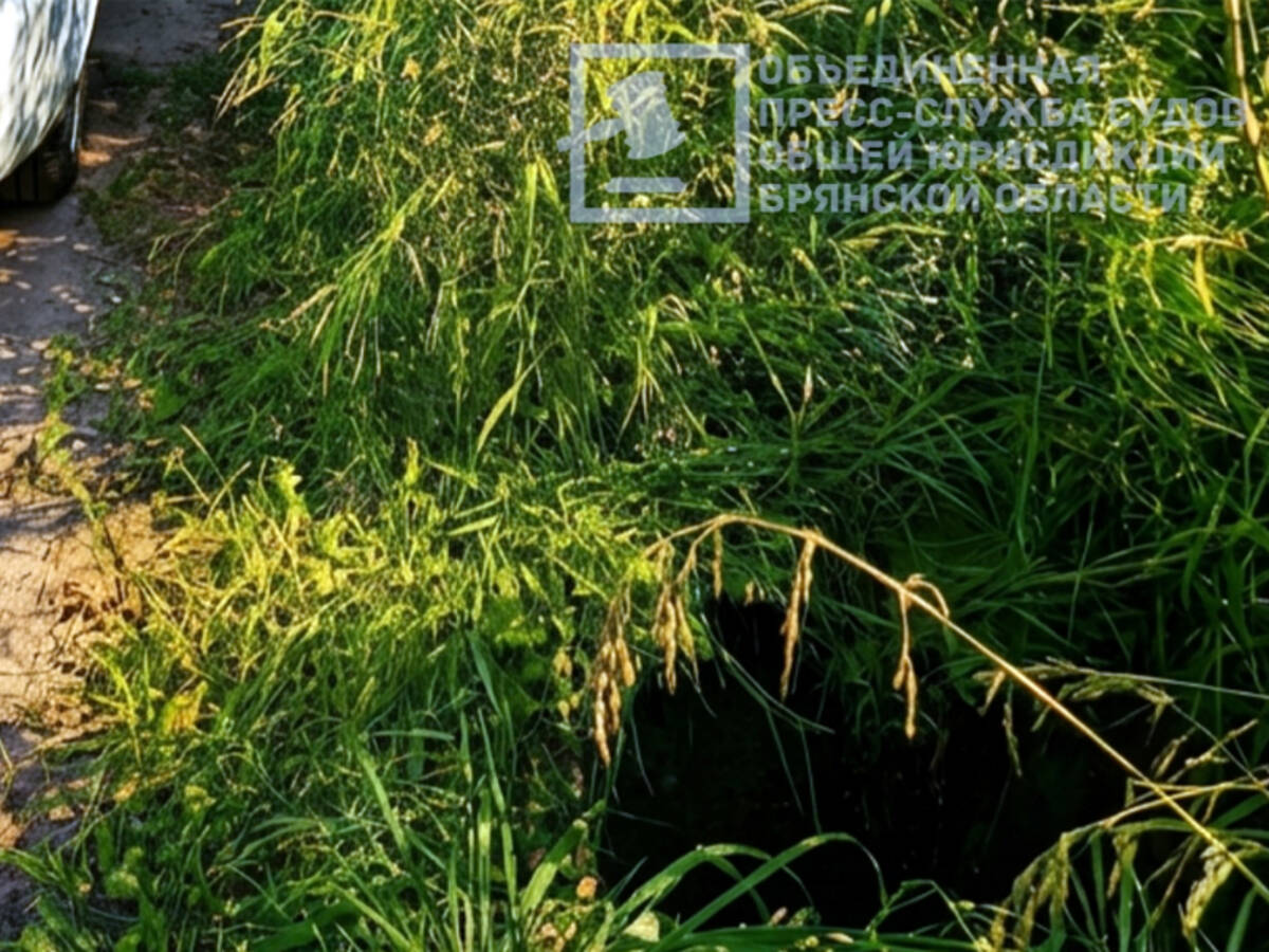 Падение ребёнка в люк в Локте: суд взыскал с водоканала 100 тысяч рублей