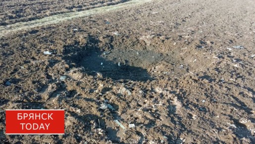 В СК РФ взялись за расследование атаки по брянскому «Мираторгу»