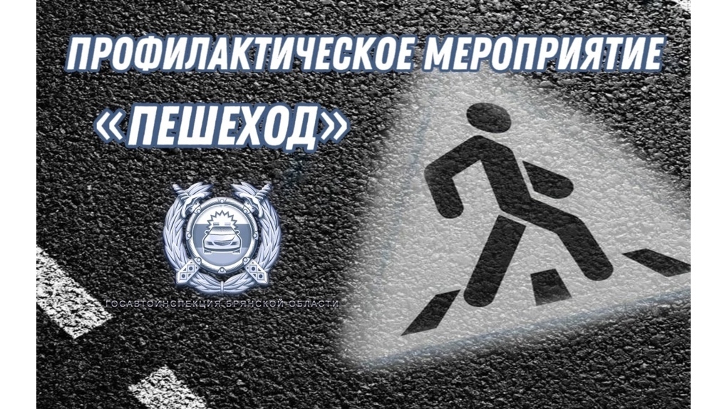 На территории Брянской области проходит оперативно-профилактическое мероприятие «Пешеход»