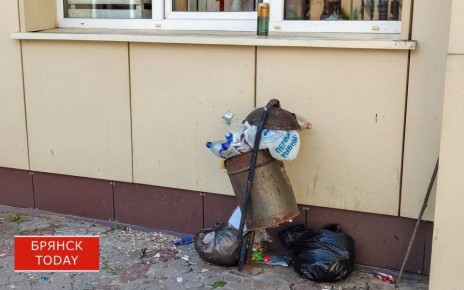 В деревне Задубравье Брянской области ликвидировали несанкционированную свалку