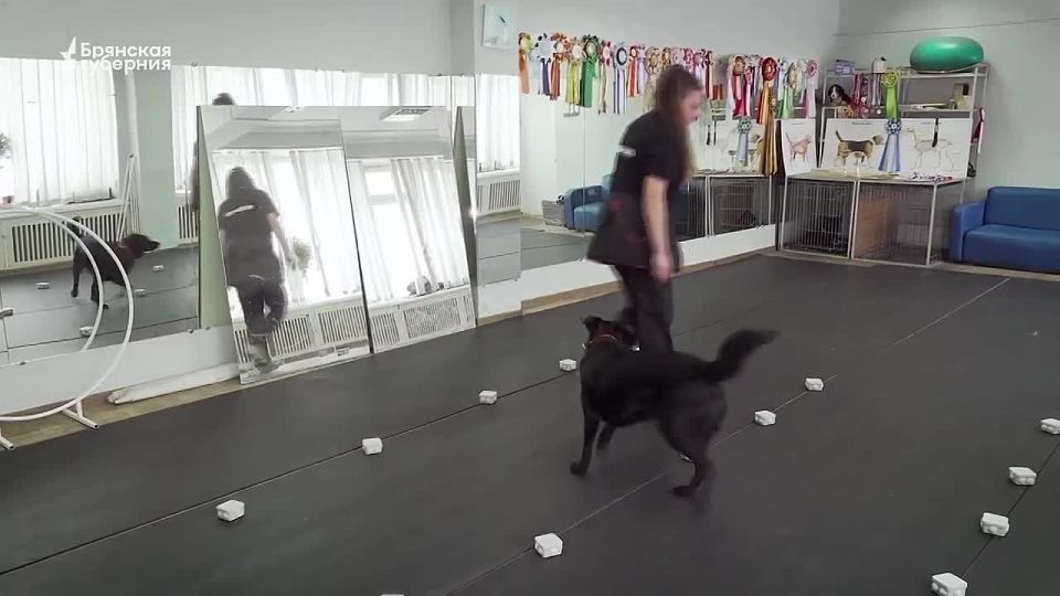 ��� ����! ������ 71. ����� � ����� - ���������, ���� �� ��� ���� ������� �� �����, �� ����� � ���� ����������� �������� ����� ����������� ������ � ����� ���� ������