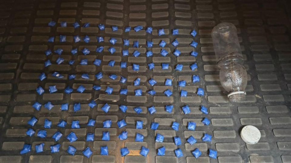 ����������� �������� ������������ ���� �����������-��������������, ��������� � ������ �� ����