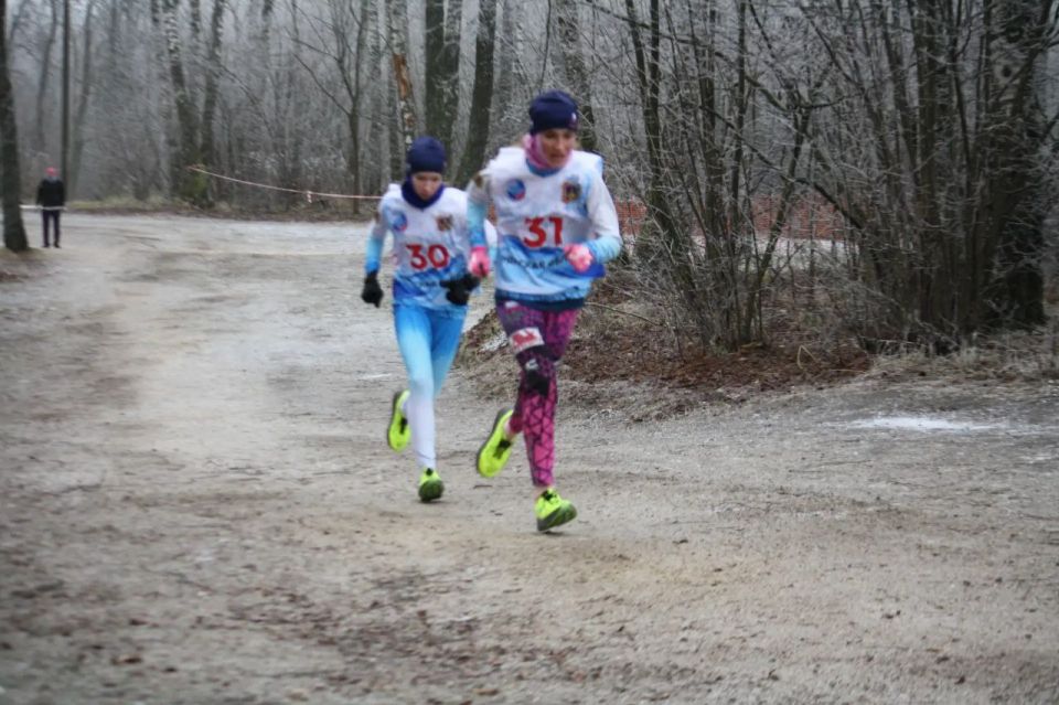 �������� ������� ���������� �� ������ ������������ ������������