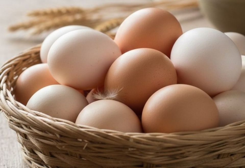 ��� ��������� �������� ��������� ��������� ���� �� ����