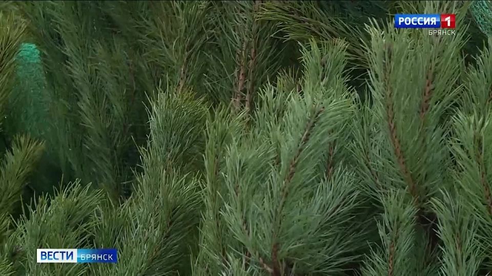 ����� - ���� ������. �� �������� ������� ��������� ���������� ���� ���������� ������� �������