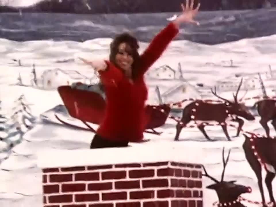 Качки в брянском клубе Orange нелегально наслушали песен на 140 тысяч