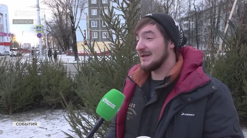 Один из главных символов Нового года — конечно же, праздничная ёлка