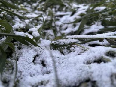 ��������� � ������ ������� ������� �������� ��������