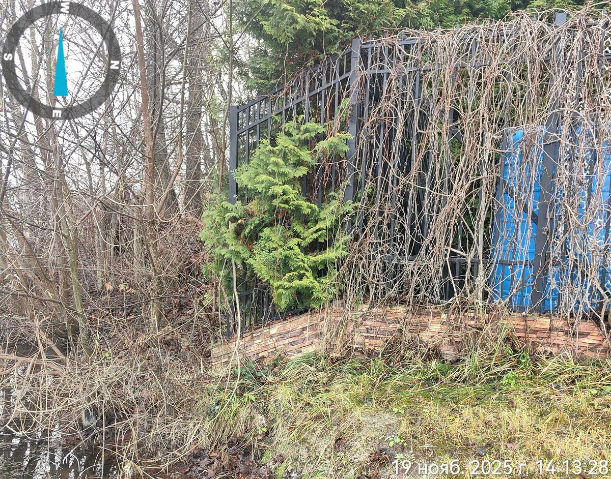 Брянец захватил берег пруда в Жуковском районе