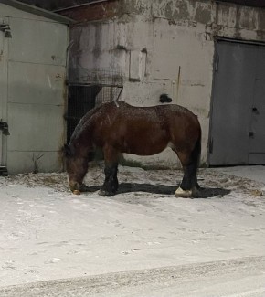 � ������� ������� ������ �������� ������ ������, ��������� � �������� �����������