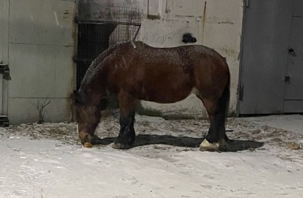 ������ �������� ������������: �� ������� �������� ������ �������� � �������� �����