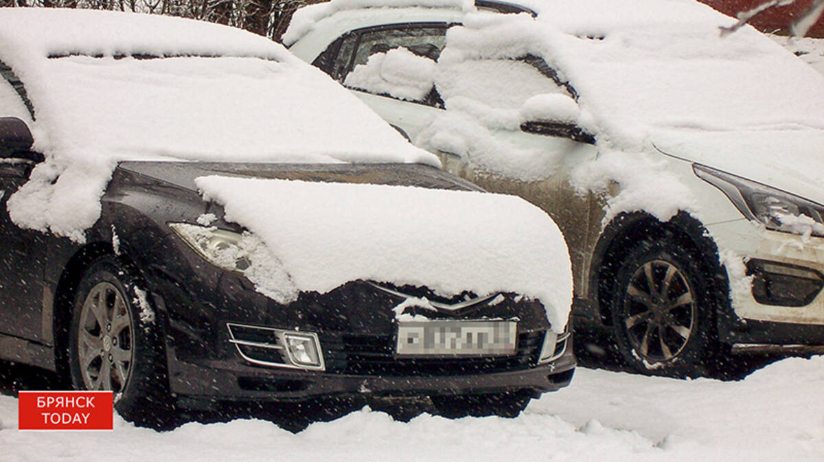 «От минус пяти до плюс одного»: брянцам сообщили о погоде на 27 декабря