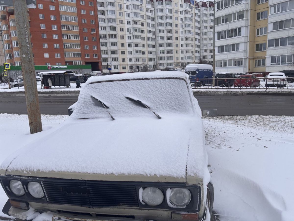Брянцами дали прогноз погоды на праздничную неделю
