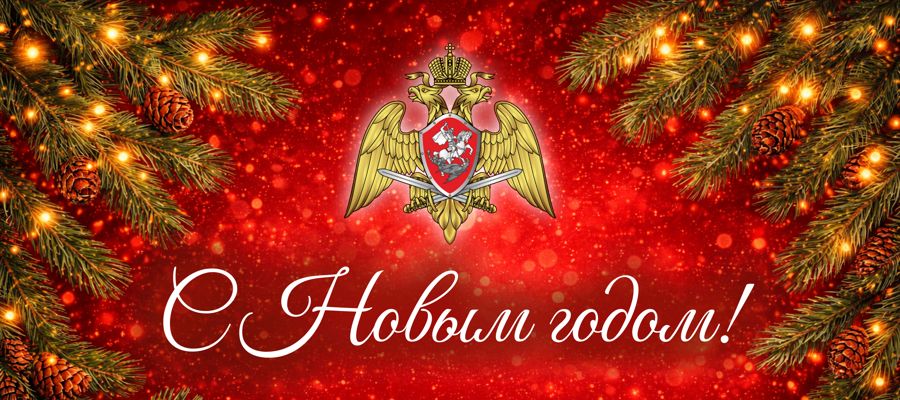 Директор Росгвардии Герой России генерал армии Виктор Золотов поздравил личный состав ведомства с наступающим Новым годом (видео)