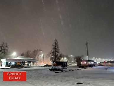 «До -10, со снегом»: брянцам сообщили о погоде на 30 декабря