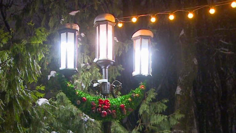 В новогоднюю ночь брянцев ждут снегопад и морозы до -11