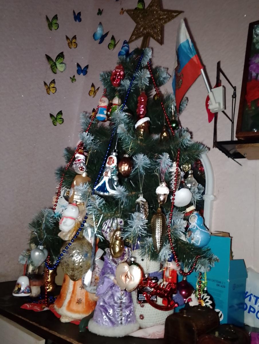 Брянские таможенники поучаствовали в «Ёлке желаний»