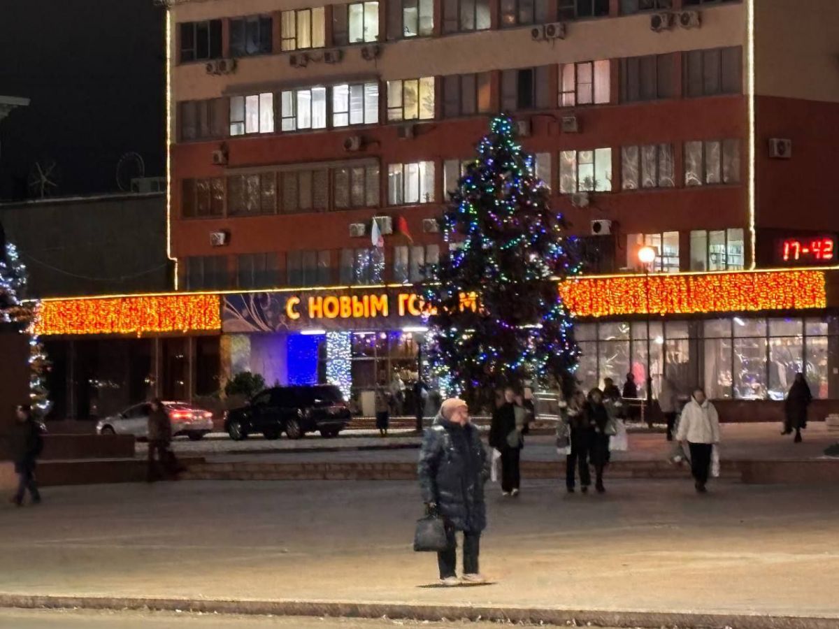 С наступающим Новым годом!!!