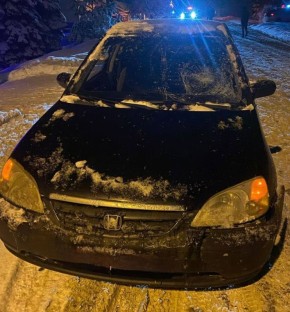 � �������� �������� �������� ���� �������